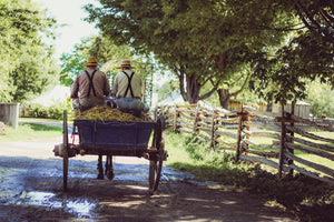 Artisanal - two Amish men riding a cart on a country road  